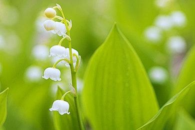 《战地2042》“传送门”模式获永久服务器支持